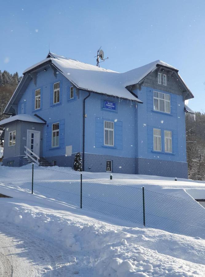 Blue Pension Svoboda nad Úpou Екстериор снимка