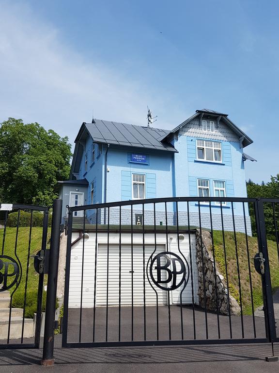 Blue Pension Svoboda nad Úpou Екстериор снимка