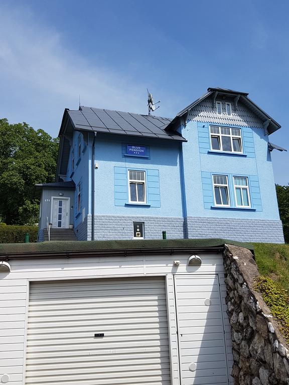 Blue Pension Svoboda nad Úpou Екстериор снимка