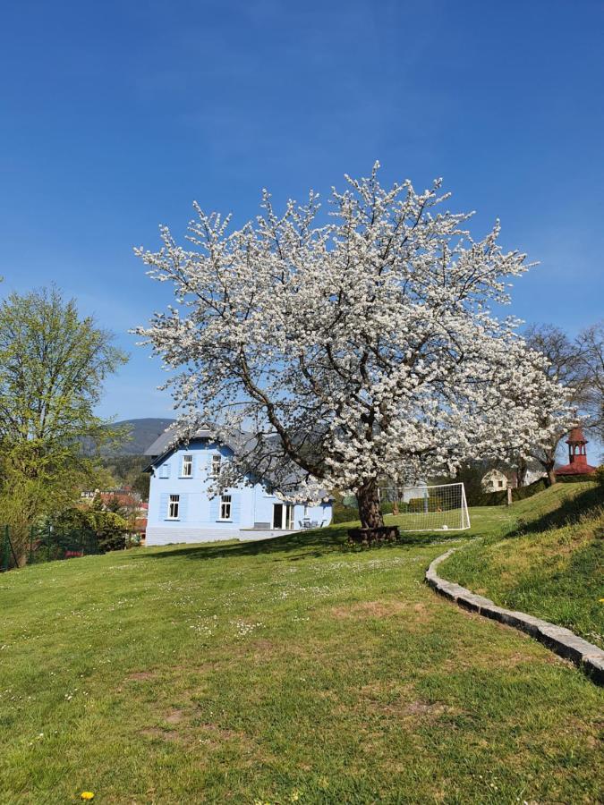 Blue Pension Svoboda nad Úpou Екстериор снимка
